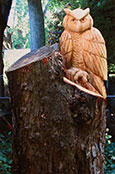 Owl Stump
